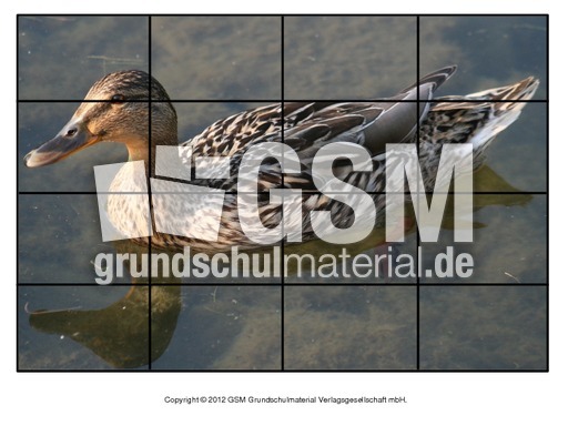 Puzzle-Stockente-5.pdf